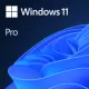 Microsoft Windows 11 Professional N, 64bit, All Languages