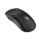 Mouse A4Tech Bloody R73 Pro, Black