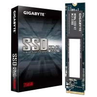 SSD Gigabyte NVMe SSD V2, 256GB, M.2