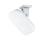 520210_jpg.webp