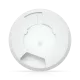 520219_jpg.webp