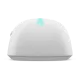 528764_jpg.webp