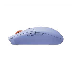 530000_jpg.webp