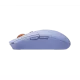 530000_jpg.webp