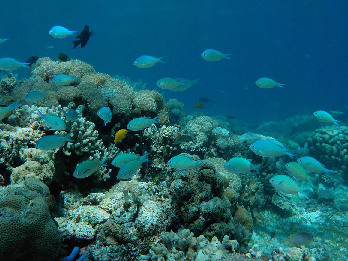 nikon_coolpix_compact_camera_w100_high_q