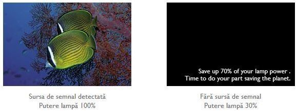 Cel mai mici pret pentru MS517H BenQ