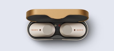 Stil mixt, modern-clasic