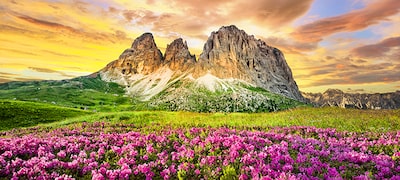 Procesor de imagini X1™ Ultimate