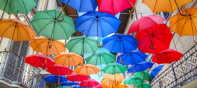 Afişaj TRILUMINOS™ Mai multe culori, mai multă strălucire