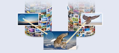 Dual database processing